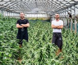 Armand Bories & Bastien Verdino dans les serres en verre de L'Herbe en Provence