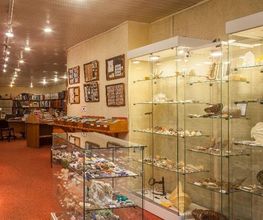 Espace Collections image 5