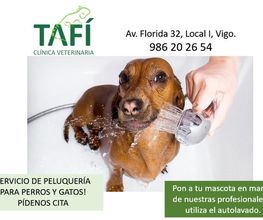 216171108-1-mn2LhZuAZS1700676042844.jpeg