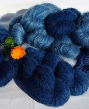 Un mouton dans l'Herbe image 19