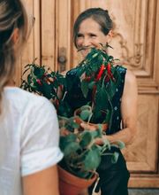 Fleuriot Manor Chavannes Bild 7