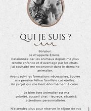 Le CHATel hôtel image 6