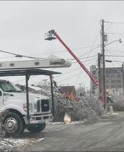 Putnam County Tree Service image 1