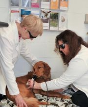 South Putnam Animal Hospital image 3