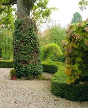les Jardins de Benjamin Sàrl Bild 2