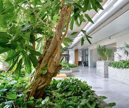 Luwasa Greenstyling AG Bild 5