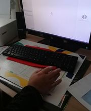 Gutfried Iris image 1