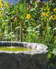 Gartengestaltung Oser AG Bild 1