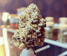 CBZEN CBD image 13