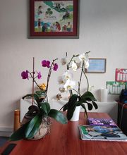 3 Forêts Ecouen image 12