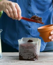 SaatGut Hassler Bild 7