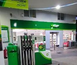 bp imagen 4