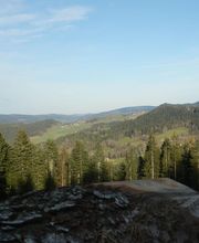 Pugin Roland image 4