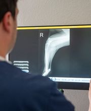 Tierarzt Heidelberg, Tierärztliches Zentrum an der Feuerwache Bild 11