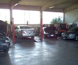 Gallery Cliente