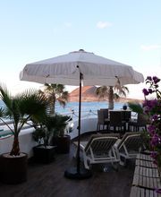 Andreas König Bild 14