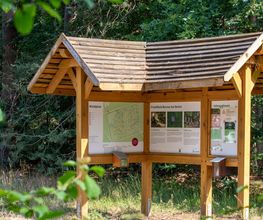 FriedWald Bernau bei Berlin Bild 10