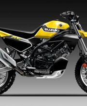 Gallery Professionale