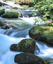 Technische Betriebe Weinfelden AG Bild 5