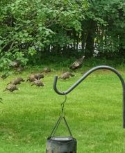 All Access Real Estate image 7