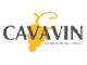 Cavavin Divin