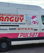 PULSAT image 6