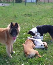 Domaine de Château Milan image 1