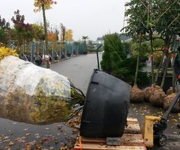 Plantencentrum Velden afbeelding 8