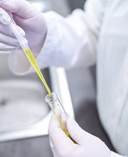 Stadt-Apotheke Bild 18