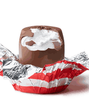 Maestrani Schweizer Schokoladen AG Bild 10