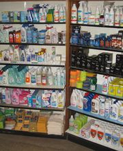 Araignée Rouge Bild 5