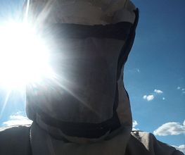 D -Nuisibles EURL image 7