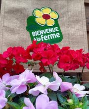 Ferme Auberge du Pré Molaine image 3