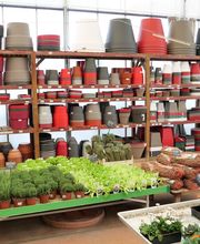 Gamm Vert - Millau image 8