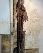 Notfall Sanitär Schweiz Bild 6