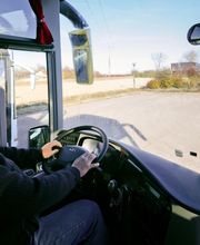 Cars Collard image 19