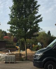 Hajo Rumpf Garten- und Landschaftsbau GmbH Bild 3