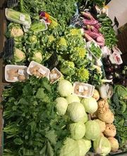 Todis - Supermercato (Civitavecchia - via Giacomo Matteotti) immagine 11