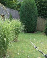 No Limit Gartengestaltung Bild 1