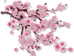 Virginie Rosner Naturopathe