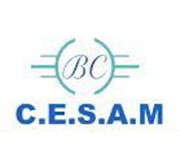 C.E.S.A.M. SARL image 2