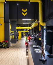 Gallery Cliente