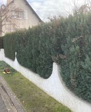 Ent . Dole image 20