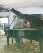 Afinador de Pianos E. Ferrer imagen 11