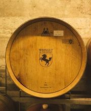 Weingut der Stadt Stuttgart Bild 5