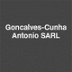 Goncalves Cunha Antonio