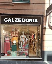 Calzedonia immagine 1