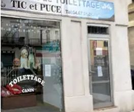 Tic et Puce image 2