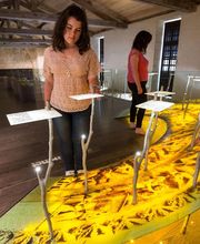 Abbaye de Nieul sur l'Autise image 14