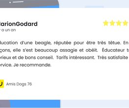 Amis Dogs 76 image 7